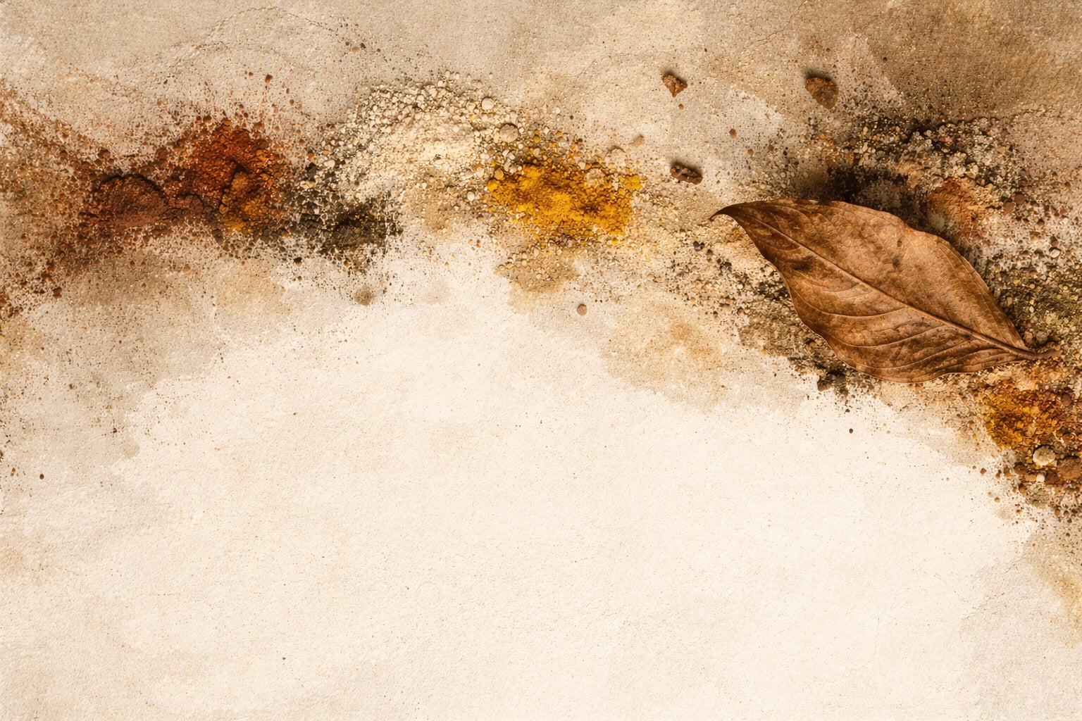 Close-up of organic natural textures with earth tones, showing raw matter and impermanent surfaces inspired by nature.